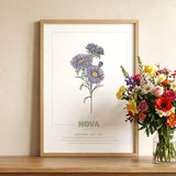 geboorteposter, gepersonaliseerd, geboortebloem, poster, maand, september, aster, babykamer, botanische print, wanddecoratie, maandbloem, kunstafdruk, interieur, illustratie, Symboliek, kraamcadeau, poster natuur, kinderposter