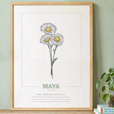 geboorteposter van maand april met geboortebloem madeliefje gepersonaliseerd met naam & geboortedatum. Poster met geïllustreerde botanische print van maandbloem met symboliek in naturel houten lijst. Origineel wanddecoratie &  kraamcadeau.