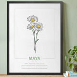 geboorteposter van maand april met geboortebloem madeliefje gepersonaliseerd met naam & geboortedatum. Poster met geïllustreerde botanische print van maandbloem met symboliek in zwarte houten lijst. Origineel wanddecoratie &  kraamcadeau.