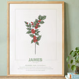 geboorteposter van maand december met geboortebloem sneeuwklokje gepersonaliseerd met naam & geboortedatum. Poster met geïllustreerde botanische print van maandbloem met symboliek in naturel houten lijst. Origineel wanddecoratie &  kraamcadeau.
