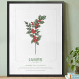geboorteposter van maand december met geboortebloem sneeuwklokje gepersonaliseerd met naam & geboortedatum. Poster met geïllustreerde botanische print van maandbloem met symboliek in zwarte houten lijst. Origineel wanddecoratie &  kraamcadeau.