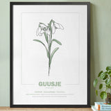 geboorteposter van maand januari met geboortebloem sneeuwklokje gepersonaliseerd met naam & geboortedatum. Poster met geïllustreerde botanische print van maandbloem met symboliek in zwarte houten lijst. Origineel wanddecoratie &  kraamcadeau.