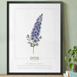 geboorteposter van maand juli met geboortebloem ridderspoor gepersonaliseerd met naam & geboortedatum. Poster met geïllustreerde botanische print van maandbloem met symboliek in zwarte houten lijst. Origineel wanddecoratie &  kraamcadeau.