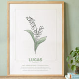 geboorteposter van maand mei met geboortebloem lelietjes van dalen gepersonaliseerd met naam & geboortedatum. Poster met geïllustreerde botanische print van maandbloem met symboliek in naturel houten lijst. Origineel wanddecoratie &  kraamcadeau.