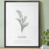 geboorteposter van maand mei met geboortebloem lelietjes van dalen gepersonaliseerd met naam & geboortedatum. Poster met geïllustreerde botanische print van maandbloem met symboliek in zwarte houten lijst. Origineel wanddecoratie &  kraamcadeau.
