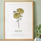 geboorteposter van maand november met geboortebloem chrysant gepersonaliseerd met naam & geboortedatum. Poster met geïllustreerde botanische print van maandbloem met symboliek in naturel houten lijst. Origineel wanddecoratie &  kraamcadeau.