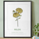 geboorteposter van maand november met geboortebloem chrysant gepersonaliseerd met naam & geboortedatum. Poster met geïllustreerde botanische print van maandbloem met symboliek in zwarte houten lijst. Origineel wanddecoratie &  kraamcadeau.
