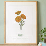 geboorteposter van maand oktober met geboortebloem goudbloem gepersonaliseerd met naam & geboortedatum. Poster met geïllustreerde botanische print van maandbloem met symboliek in naturel houten lijst. Origineel wanddecoratie &  kraamcadeau.