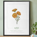 geboorteposter van maand oktober met geboortebloem goudbloem gepersonaliseerd met naam & geboortedatum. Poster met geïllustreerde botanische print van maandbloem met symboliek in zwarte houten lijst. Origineel wanddecoratie &  kraamcadeau.