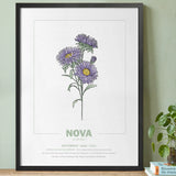 geboorteposter van maand september met geboortebloem aster gepersonaliseerd met naam & geboortedatum. Poster met geïllustreerde botanische print van maandbloem met symboliek in zwarte houten lijst. Origineel wanddecoratie &  kraamcadeau.